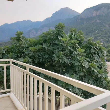 Villa Vıkıng 26 *