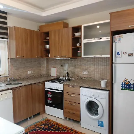 Vıkıng 26